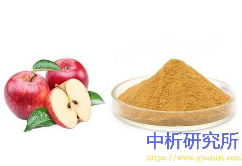 根皮素检测