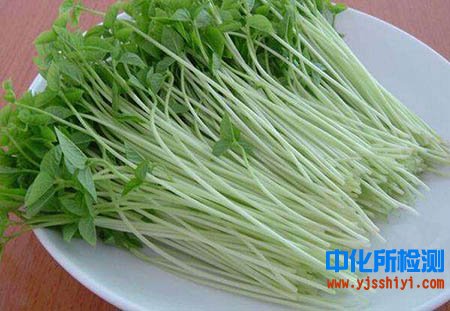 芽菜检测