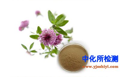 红车轴草检测